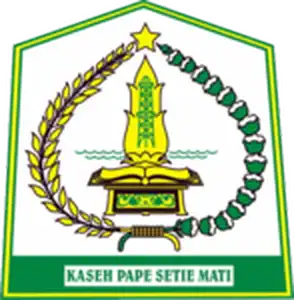 Pilkada Aceh Tamiang